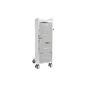 TL 6D Carts(5).webp